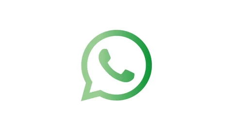 My Whatsapp Number