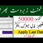 Sirf Matric Walon Ke Liye! Govt Job Ka Shandar Mauqa – Apply Karein Aaj Hi